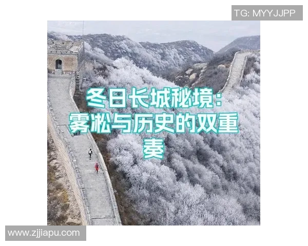 深度对话赵伟分享排球人生的成长与挑战之路