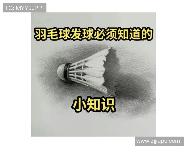 从零开始：羽毛球战术完全攻略