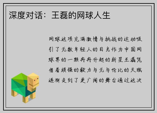 深度对话：王磊的网球人生