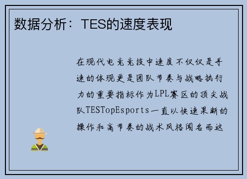 数据分析：TES的速度表现
