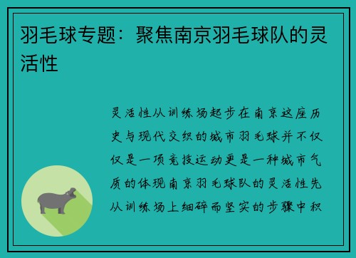羽毛球专题：聚焦南京羽毛球队的灵活性